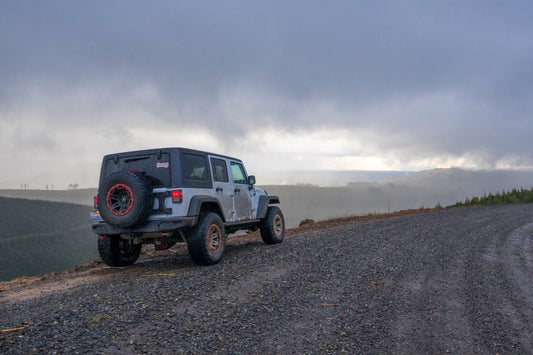 Your Jeep or Willys - The JeepsterMan